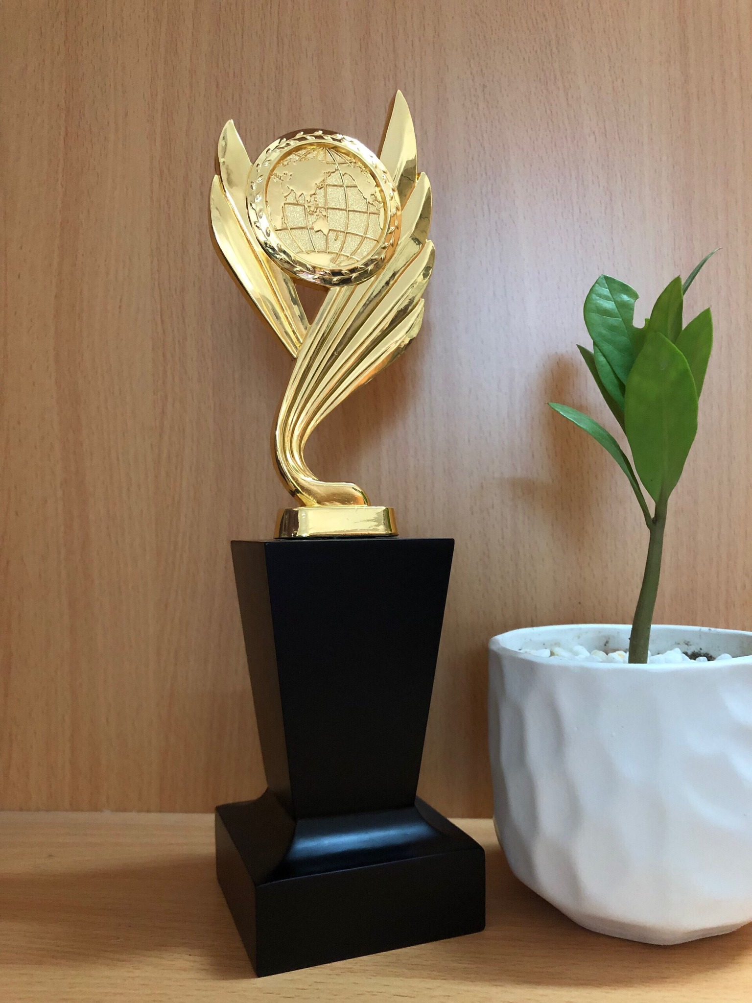 quan-tang-vinh-danh-13