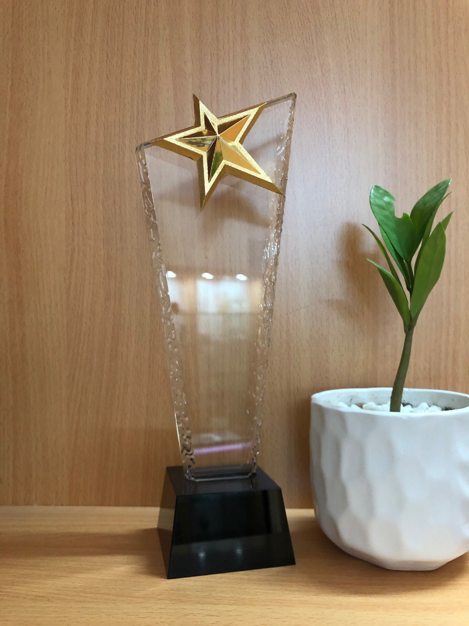 quan-tang-vinh-danh-22